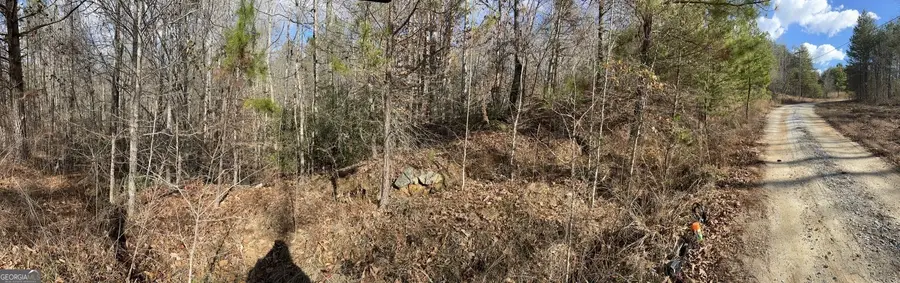 161 Chauga Shoals Drive, Westminster, SC 29693 - Image #3