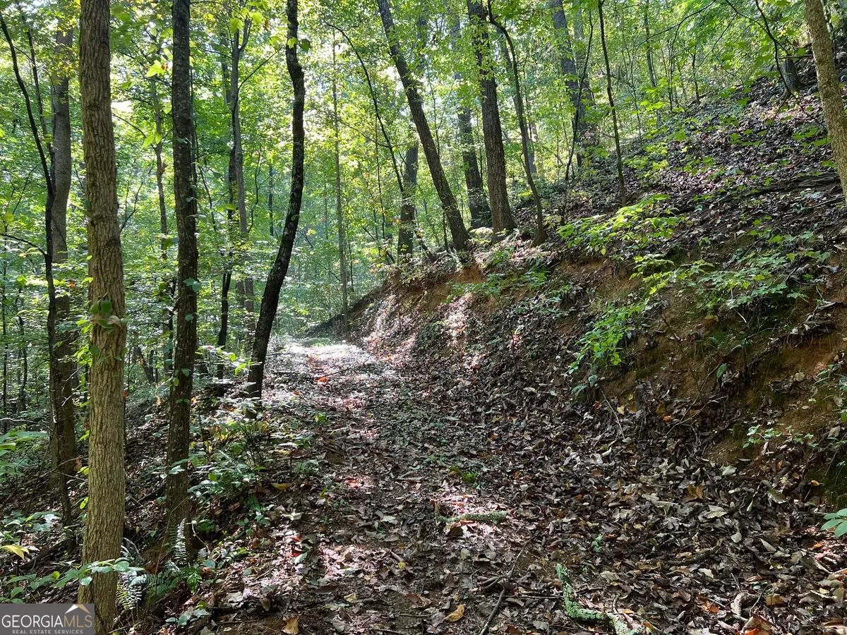 893 Newman Court, Ranger, GA 30734 - Image #1