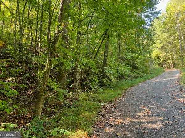 894 Newman Court, Ranger, GA 30734