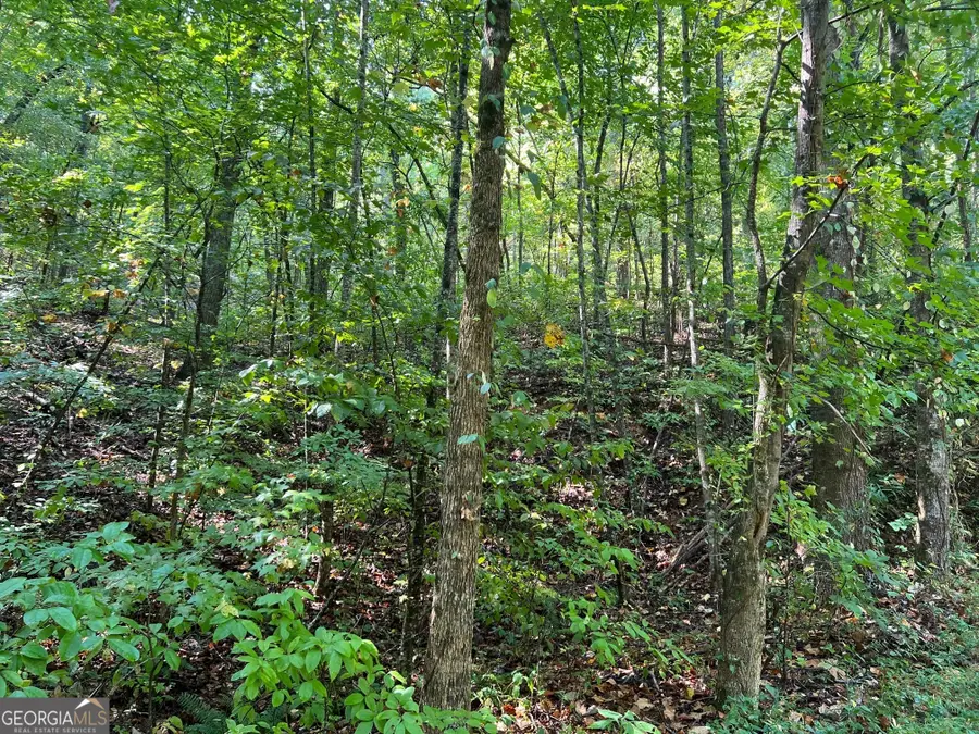 894 Newman Court, Ranger, GA 30734 - Image #2