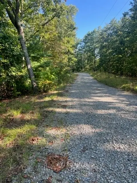 LT 33 Buck Creek Road, Ellijay, GA 30540 - #2