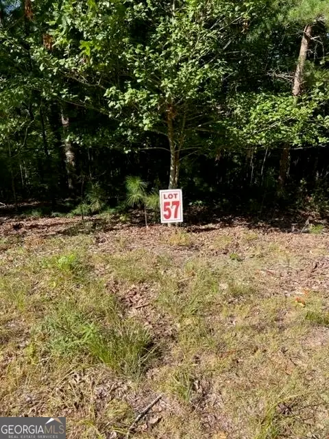 LT 57 Honeysuckle Way, Ellijay, GA 30540 - #1