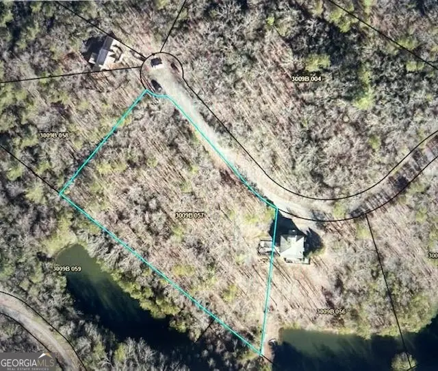 LT 57 Honeysuckle Way, Ellijay, GA 30540 - #3