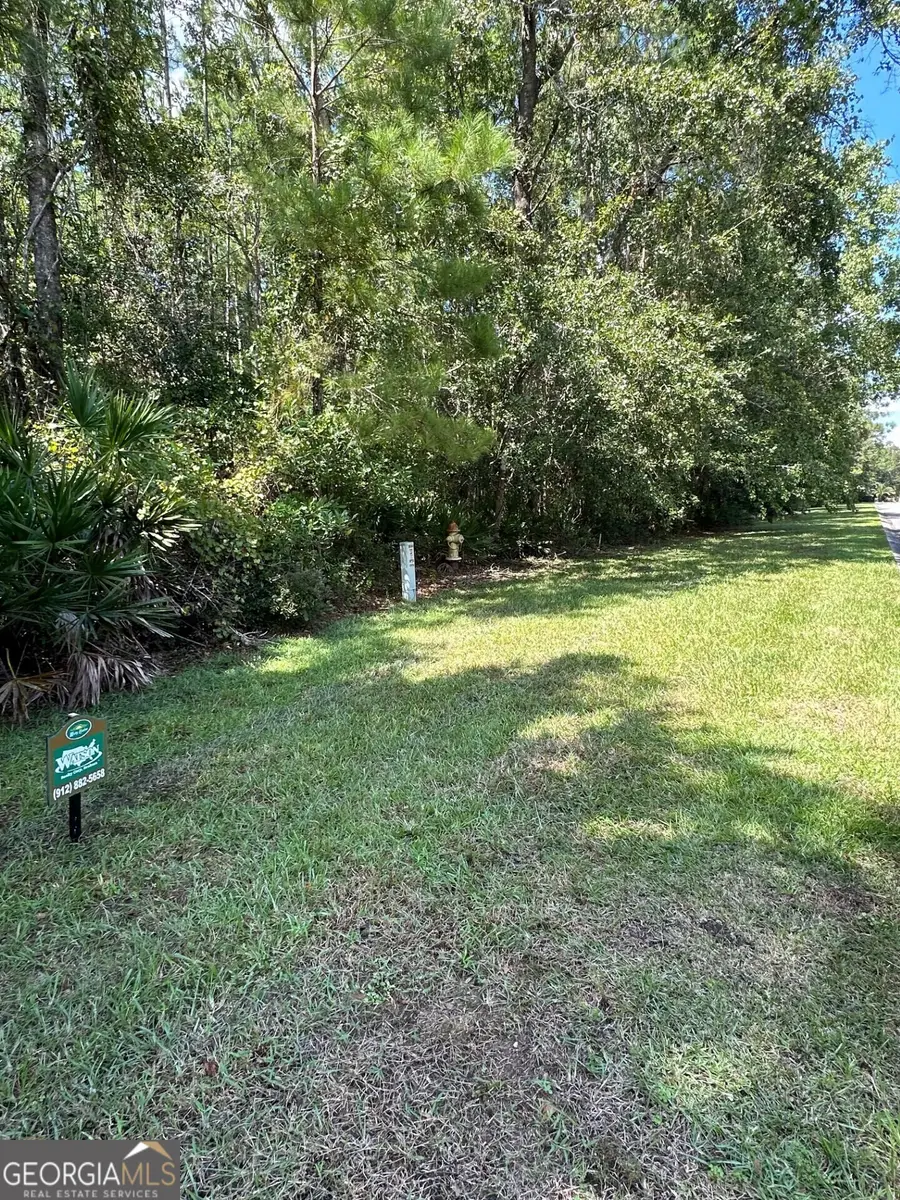 LOT 13 Sunset Drive, Woodbine, GA 31569 - Image #2