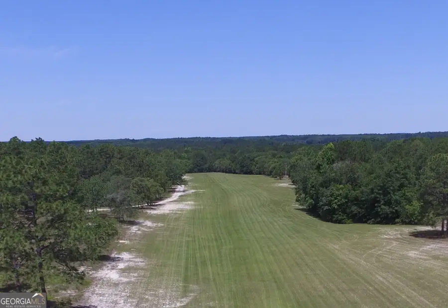 0 Ben Grady Collins Road #LOT 3, Portal, GA 30450 - Image #2