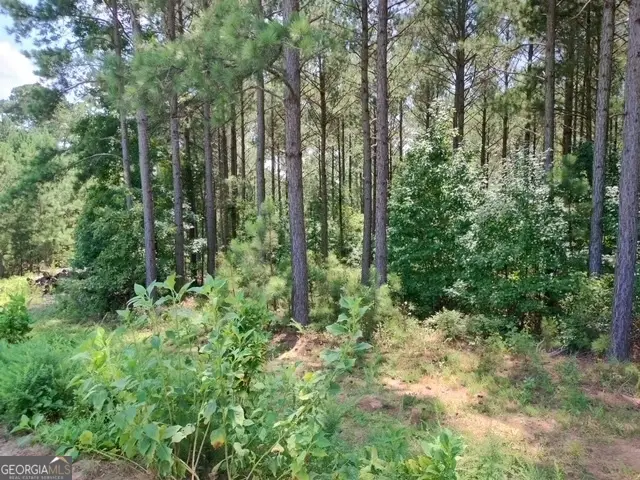 1039 Merganser Coves, Tignall, GA 30668 - Image #3