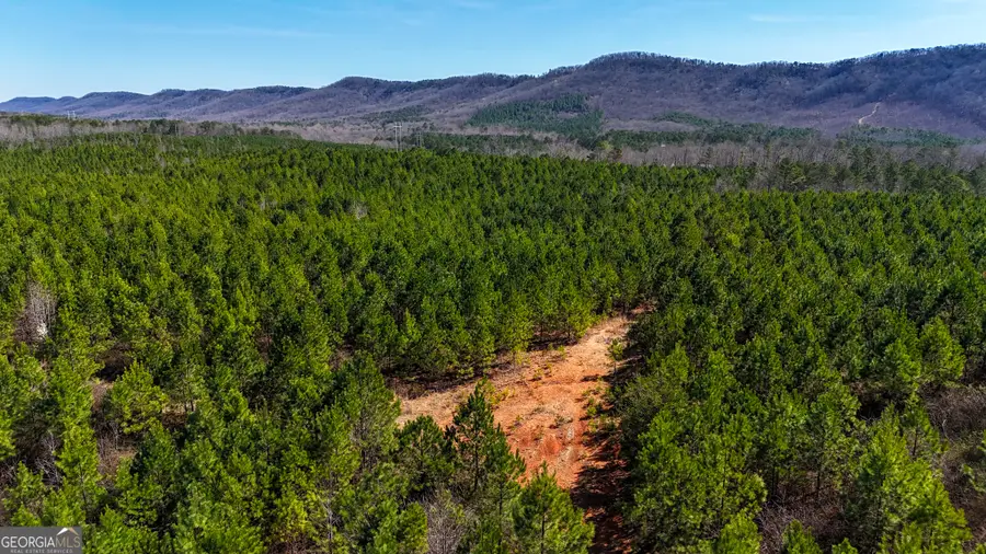 0 Highway 100, Summerville, GA 30747 - Image #2