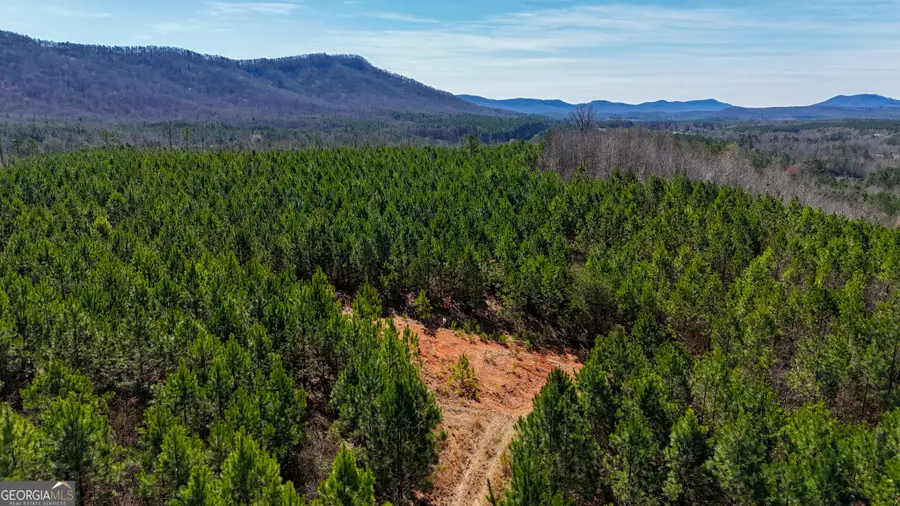 0 Highway 100, Summerville, GA 30747 - Image #3