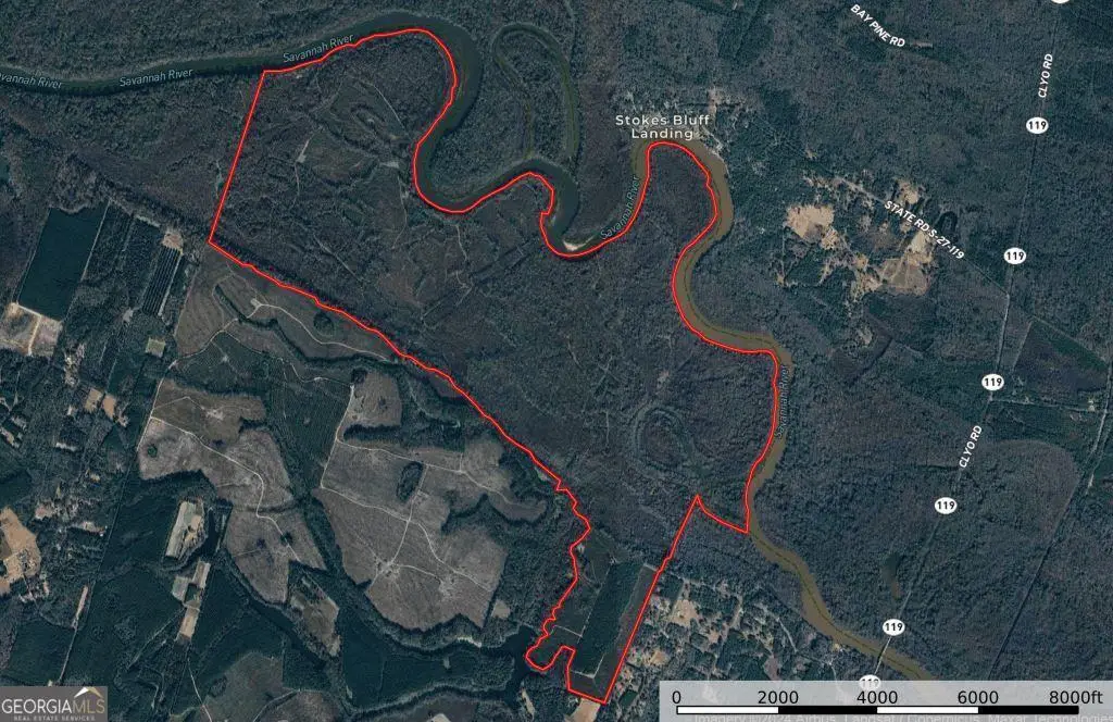 0 Morgan Cemetery Road, Clyo, GA 31303 - Image #1