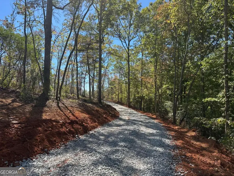 3.71 Yancy Drive, Dawsonville, GA 30534 - Image #3