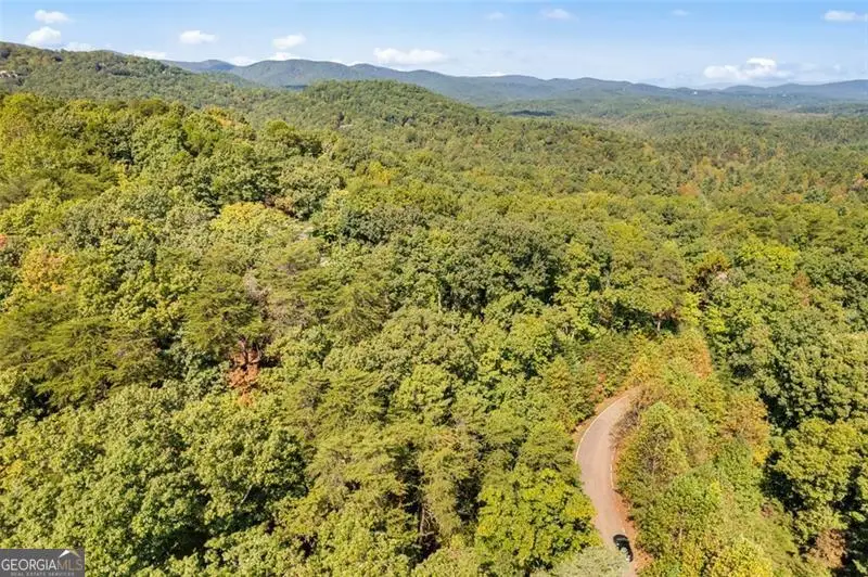 288 Blazingstar Trail, Big Canoe, GA 30143 - Image #3