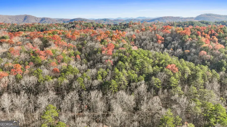 0 Scots Glen, Mineral Bluff, GA 30559 - Image #3