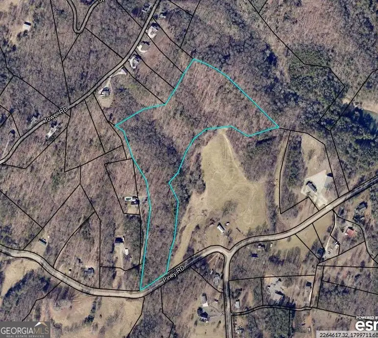 0 Piney Road, Mineral Bluff, GA 30559 - #3