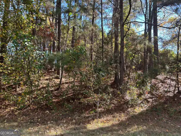 2090 Lee Peters Road, Loganville, GA 30052