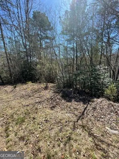 LOT 6 Willow Ridge, Warne, NC 28909 - Image #2