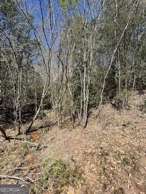 LOT 6 Willow Ridge, Warne, NC 28909 - Image #3