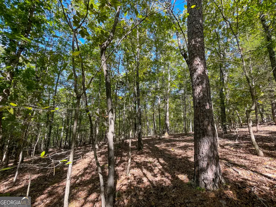 0 Webb Creek Road, Rome, GA 30161 - #3