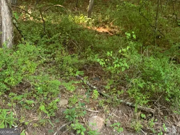 E OF 246 MATTHE E Of 246 Matthews Road #TRACT A 5 ACRES, Fayetteville, GA 30215