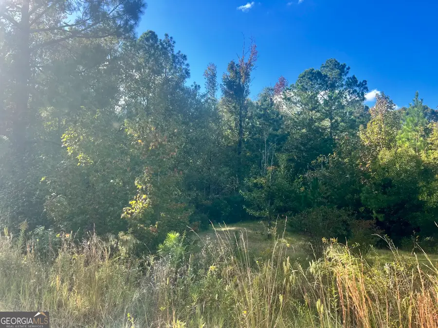 0 Shady Oaks Road, Eastman, GA 31023 - Image #3