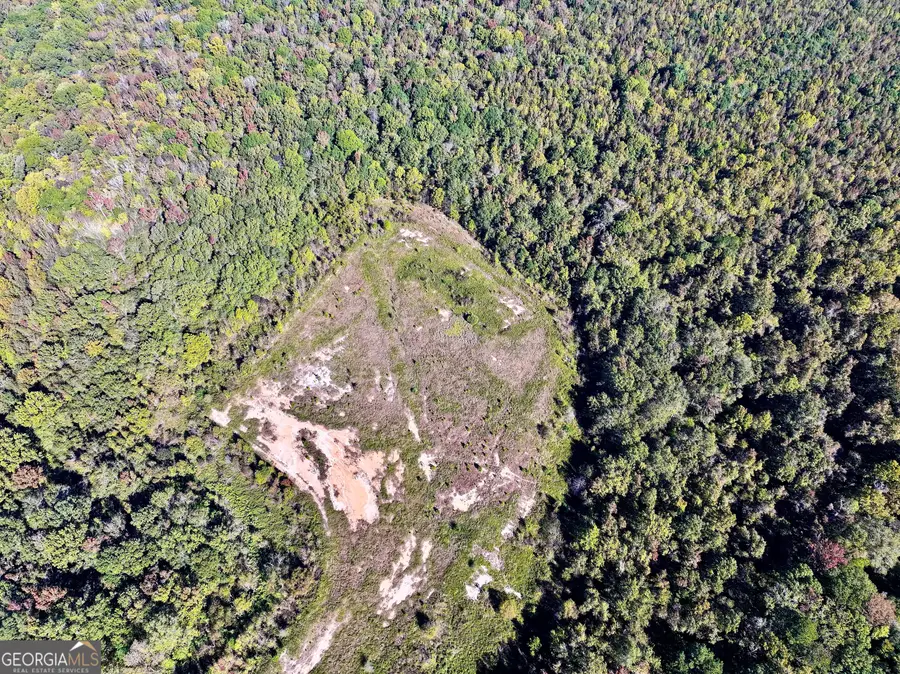 0 Highway 112, Toomsboro, GA 31090 - Image #3