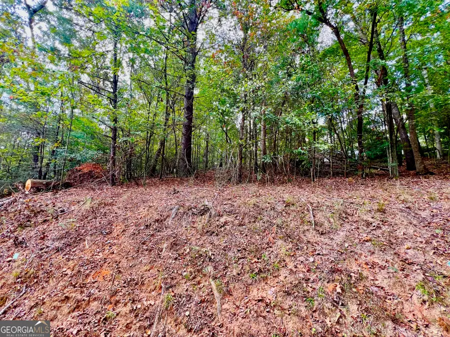 573 Cataula Court, Ellijay, GA 30540 - #2