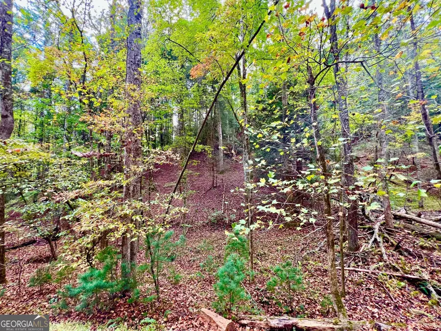 573 Cataula Court, Ellijay, GA 30540 - #3