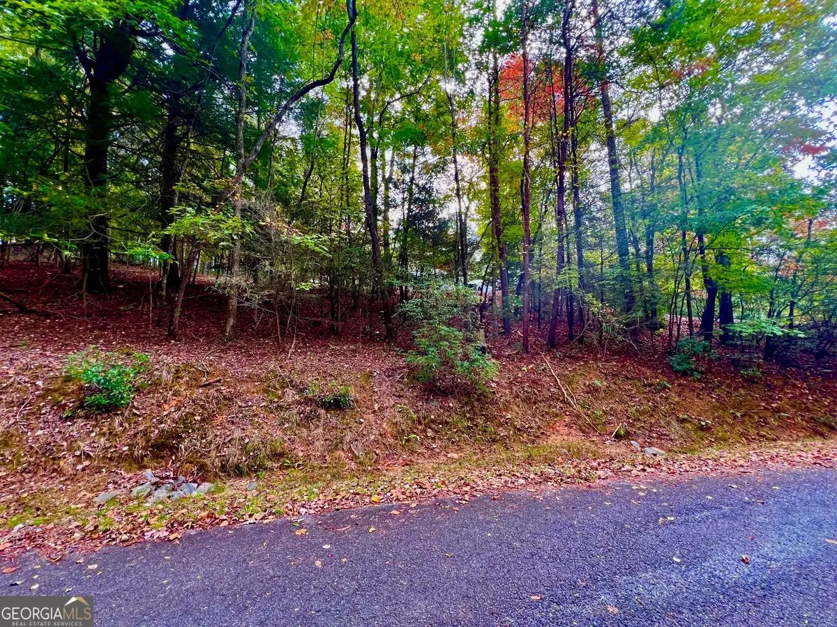 548 N Satsuma Court, Ellijay, GA 30540 - Image #1