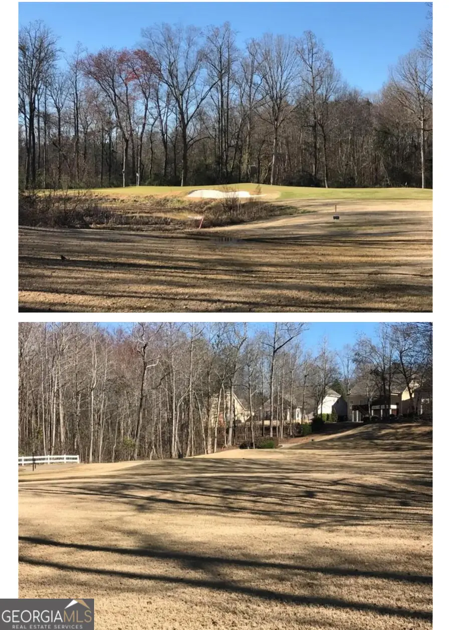 907 Ellesmere Point, McDonough, GA 30253 - Image #3