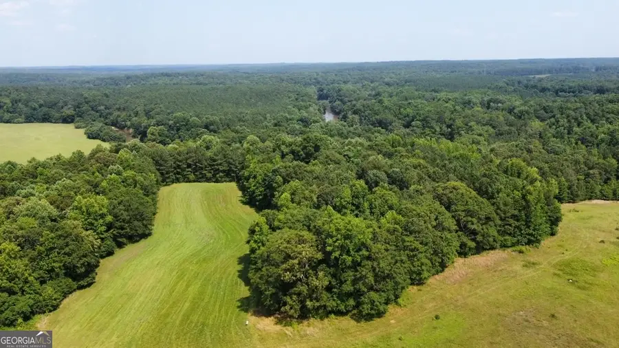 0 N. Ola Road, McDonough, GA 30252 - #3