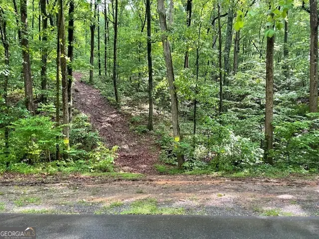 0 E Price Creek Road, Jasper, GA 30143 - #1