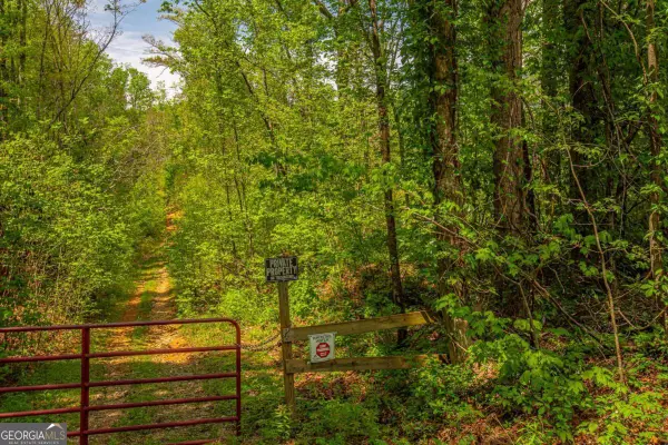0 Antioch Valley Road Trct 3, Dawsonville, GA 30534