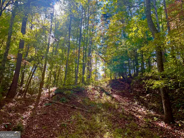 59 High River Landing, Ellijay, GA 30540