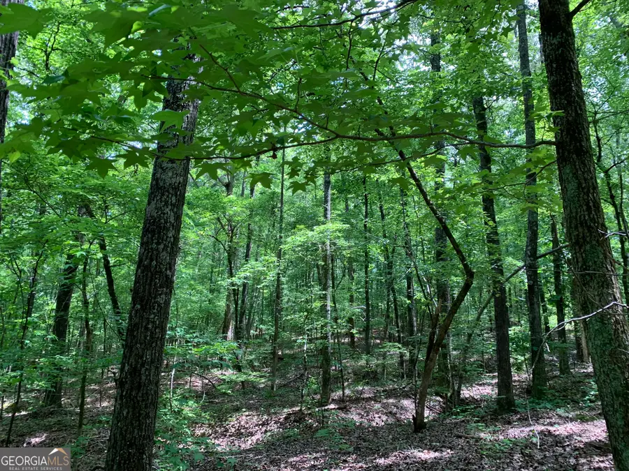 61.990 AC Mike Powers Road, Grantville, GA 30220 - Image #2