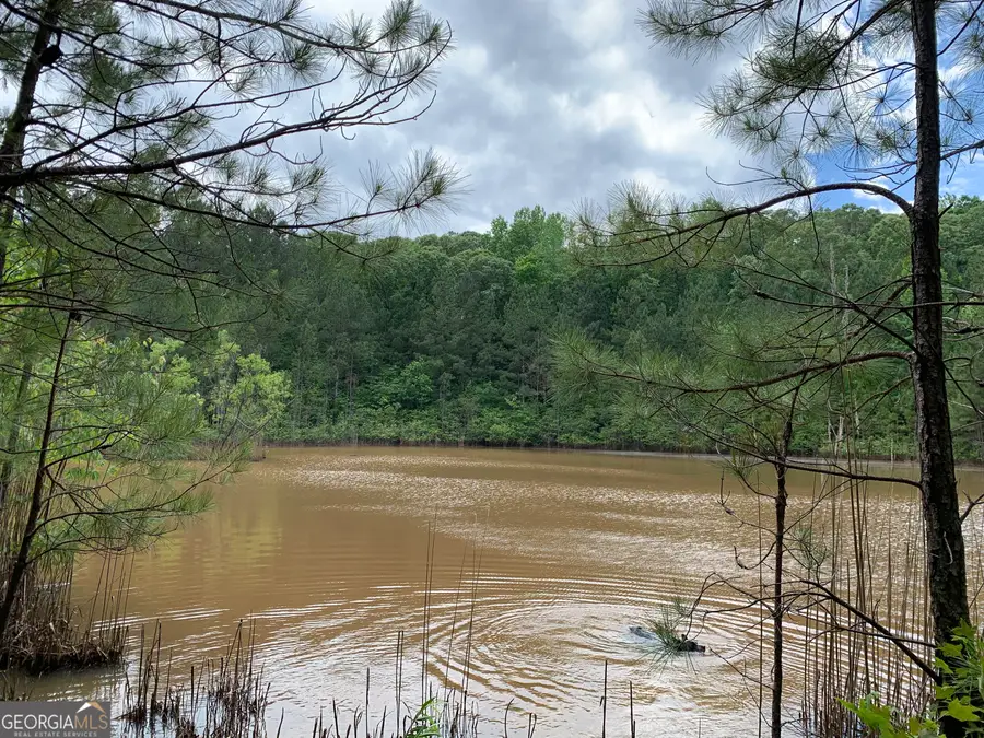 61.990 AC Mike Powers Road, Grantville, GA 30220 - Image #3