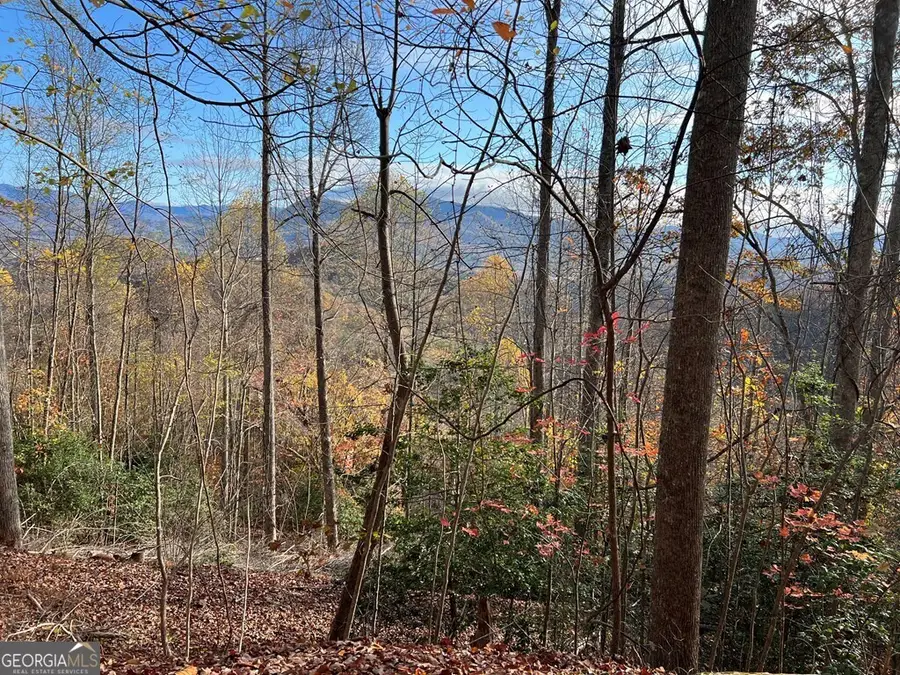 TRACT 1 Hidden Summit, Hiawassee, GA 30546 - Image #3