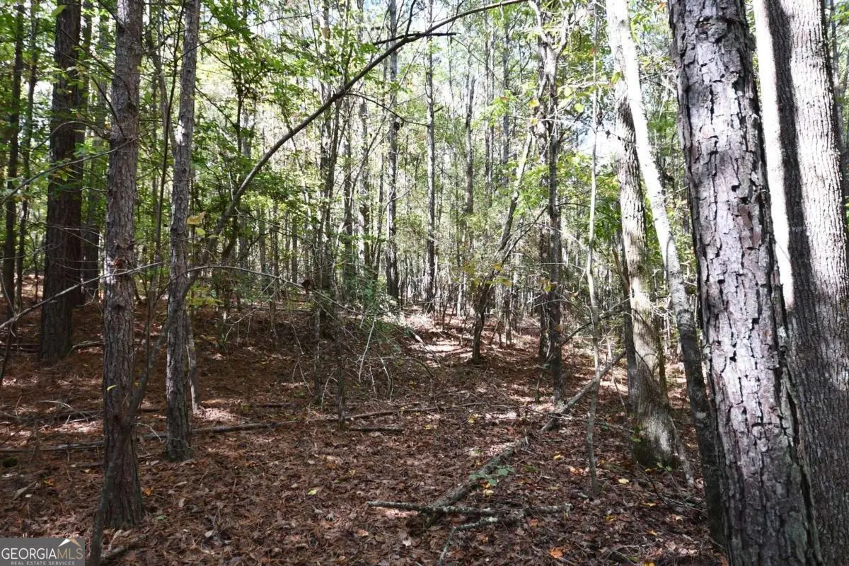 00001 Poplar Springs Road, Buchanan, GA 30113 - Image #1