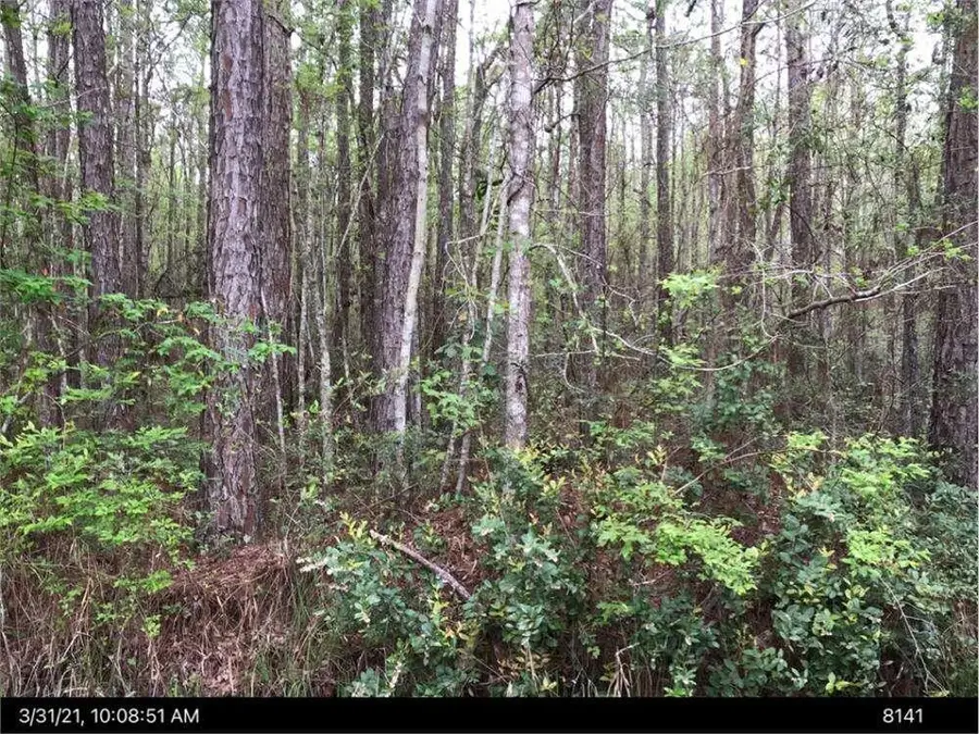 LOT 35 Lewis Lane, Townsend, GA 31331 - Image #2