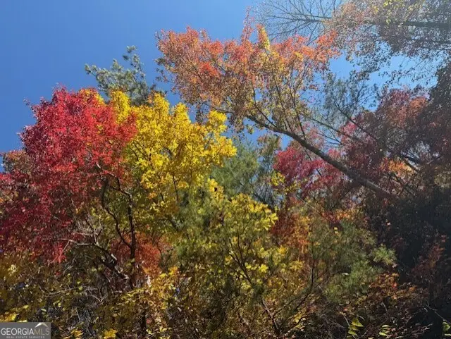 650 Mulberry Trail, Ellijay, GA 30540 - Image #2