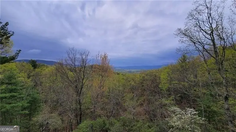 1012 Wild Turkey Bluff, Jasper, GA 30143 - #2