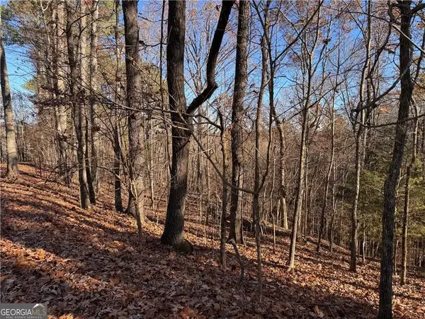 129 Adair Drive Ne, Ranger, GA 30734