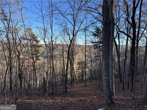 803 Greenwood Circle, Ranger, GA 30734