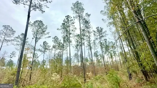 272 L S Inghram, Sparta, GA 31087 - Image #2