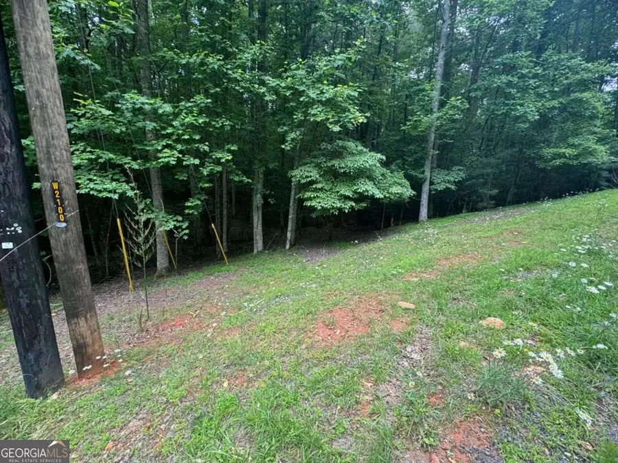 LOT 1721 Newport Drive, Ellijay, GA 30540 - Image #2