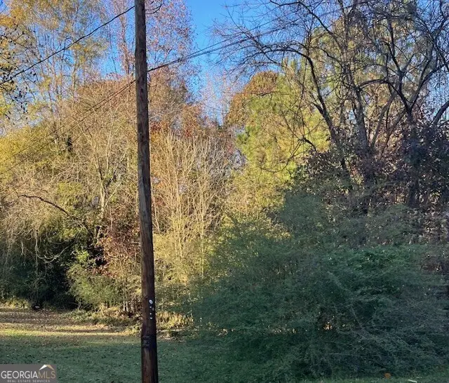 0 Old Bill Cook Road, South Fulton, GA 30349 - #2