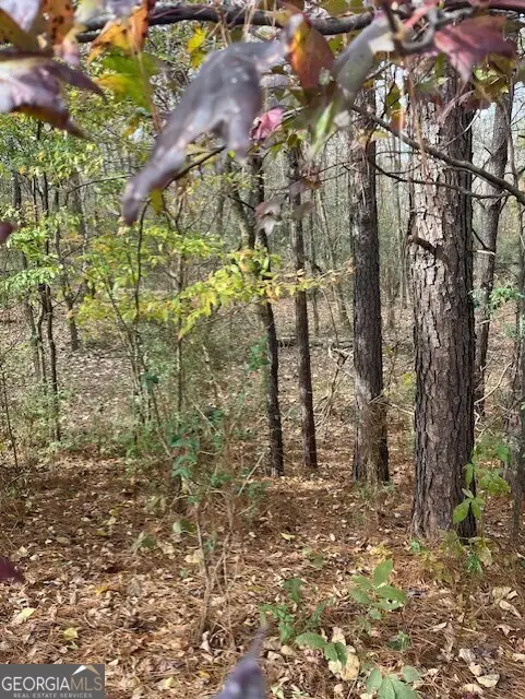 0 Old Bill Cook Road, South Fulton, GA 30349 - #3