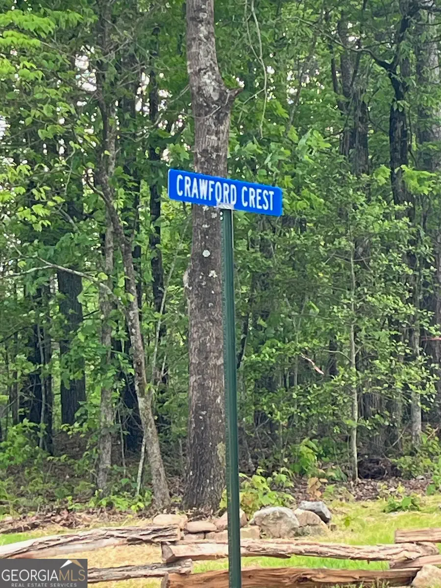 7 Crawford Crest, Dawsonville, GA 30534 - #3