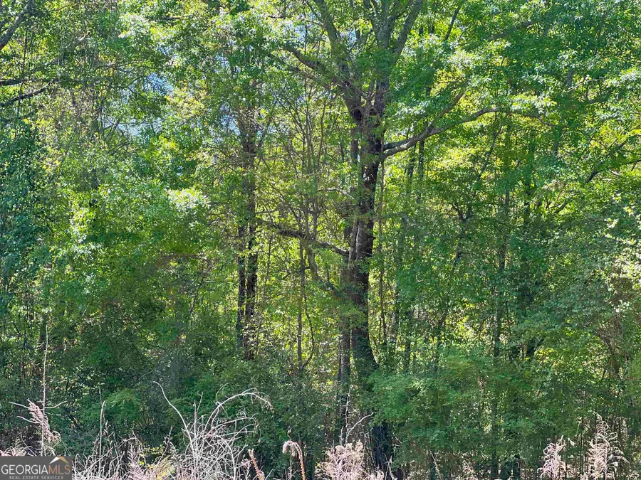 393 & 381 Old Conyers Road, Stockbridge, GA 30281 - #2