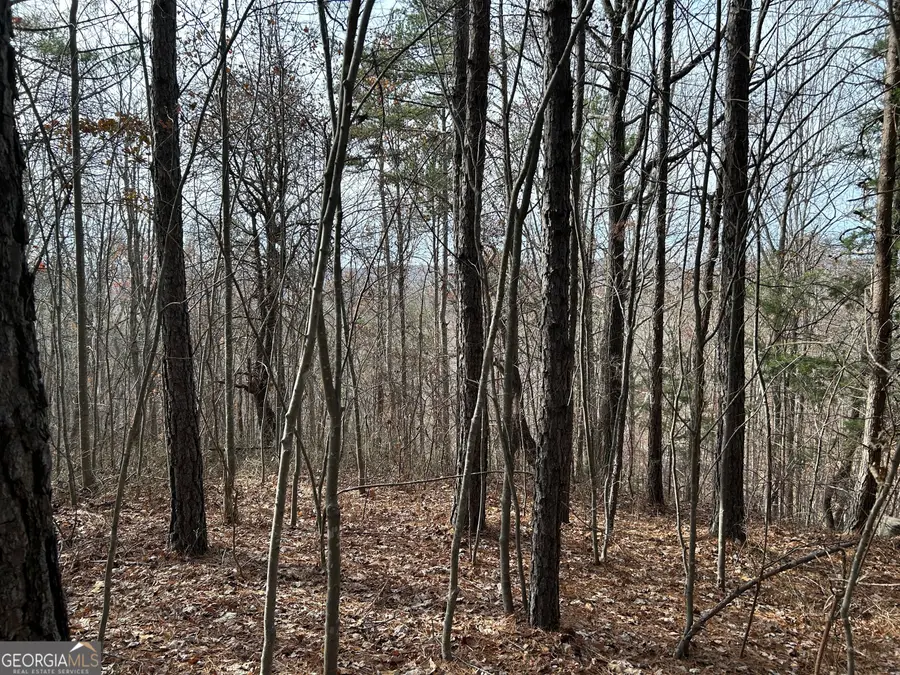 0 Highway 105, Banks, GA 30511 - Image #3