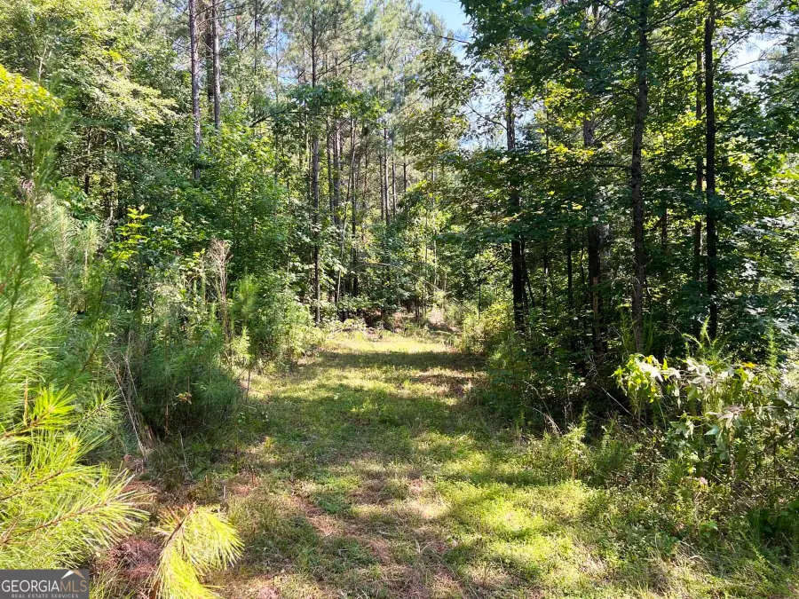 0 Booger Hollow Road, Rome, GA 30161 - Image #2