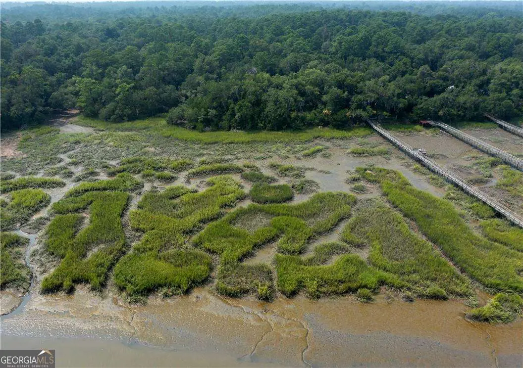 1304 Old Smokey Road, Crescent, GA 31304 - Image #1